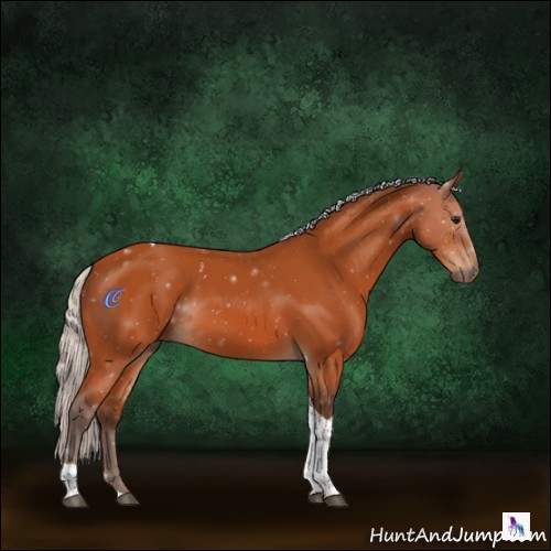 Horse Color:Silver Bay Tobiano Rabicano 