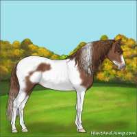 Horse Color:Chestnut Tobiano Frame