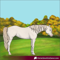 Horse Color:Smoky Creme Dun