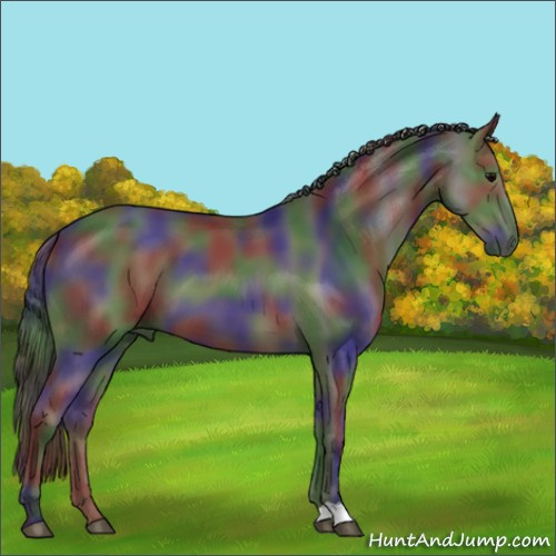 Horse Color:Nacre Black 