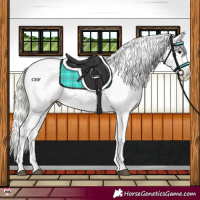 Horse Color:Silver Grullo Near Leopard 