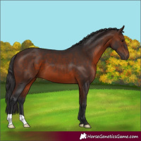 Horse Color:Brown 