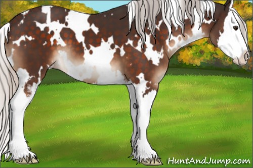 Horse Color:White Spotted Silver Brown Sabino Splash 