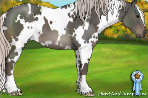 Horse Color:White Spotted Silver Black 
