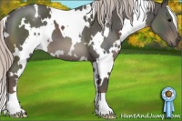Horse Color:White Spotted Silver Black 