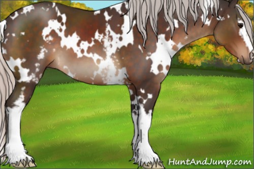 Horse Color:White Spotted Silver Brown 