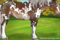 Horse Color:White Spotted Silver Brown