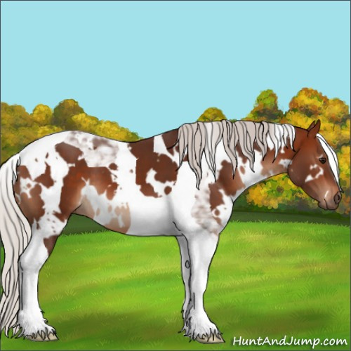 Horse Color:White Spotted Silver Bay Tobiano 