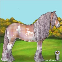 Horse Color:Watercolor Plaid  White Spotted Silver Brown Onyx 