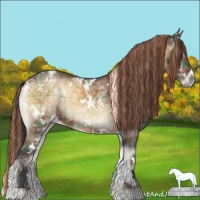 Horse Color:Painted Plaid  White Spotted Bay Ice Onyx 