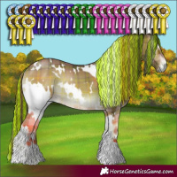Horse Color:Painted Plaid  White Spotted Bay Onyx 