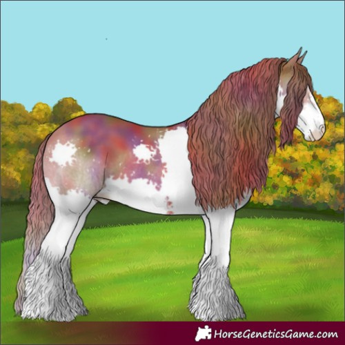 Horse Color:Nacre White Spotted Chestnut Splash 