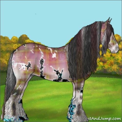 Horse Color:Plaid  White Spotted Bay Onyx 