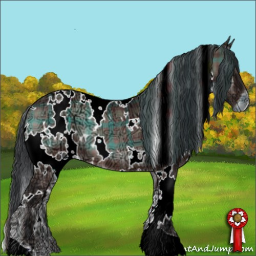 Horse Color:Plaid  White Spotted Bay Ice Onyx 