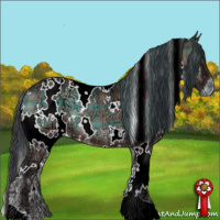 Horse Color:Plaid  White Spotted Bay Ice Onyx 