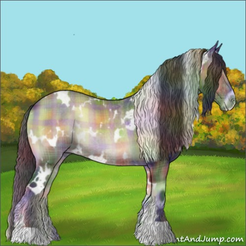 Horse Color:Nacre Plaid White Spotted Brown Onyx