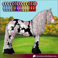 Horse Color:Watercolor Plaid White Spotted Silver Bay Ice Onyx