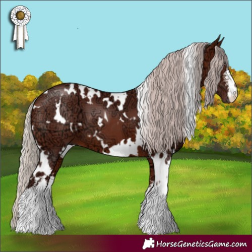 Horse Color:White Spotted Chocolate Silver Brown Ice 