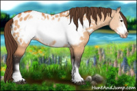 Horse Color:Bay Dun Frame Blanket 