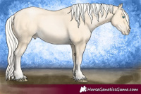 Horse Color:Silver Buckskin Pearl