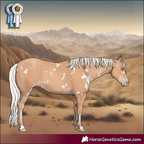 Horse Color:White Spotted Silver Classic Champagne 