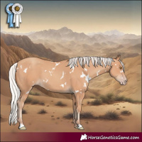 Horse Color:White Spotted Silver Classic Champagne 