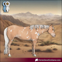 Horse Color:White Spotted Silver Classic Champagne