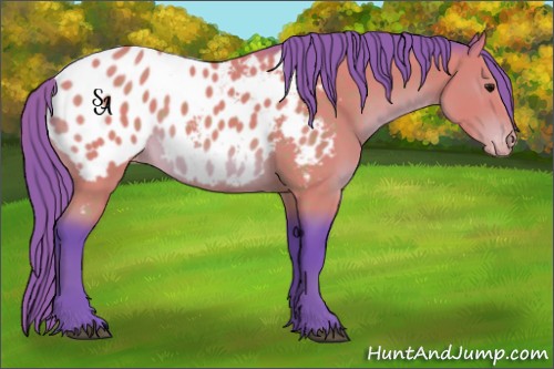 Horse Color:Watercolor Buckskin Mushroom Appaloosa