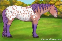 Horse Color:Watercolor Buckskin Mushroom Blanket 