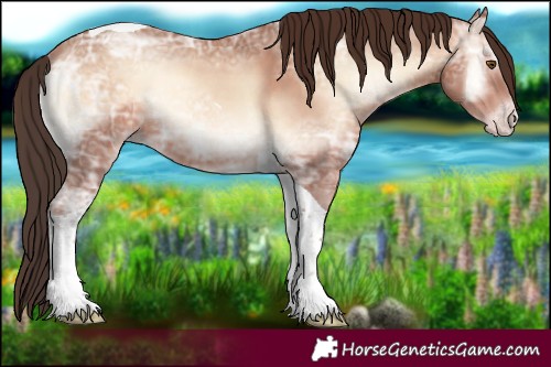 Horse Color:Sable Champagne Ice Onyx Tobiano 