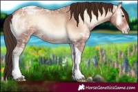 Horse Color:Sable Champagne Ice Onyx Tobiano 