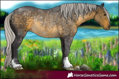 Horse Color:Silver Buckskin Rabicano