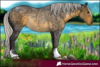 Horse Color:Silver Buckskin Rabicano 