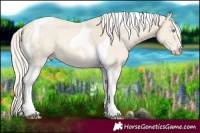 Horse Color:Cremello Tobiano