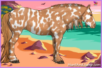 Horse Color:Chestnut Near Leopard 