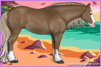 Horse Color:Chocolate Palomino Splash