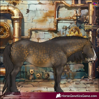 Horse Color:Buckskin Splash 