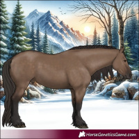 Horse Color:Liver Red Dun Rabicano