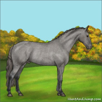 Horse Color:Grullo Varnish Rabicano 