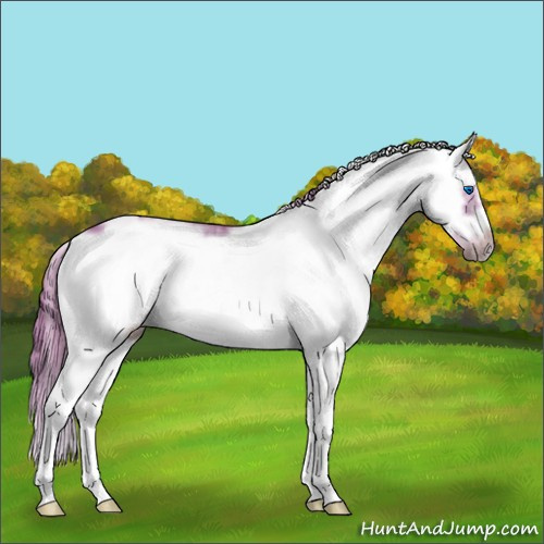Horse Color:Watercolor Chestnut Sabino Frame 