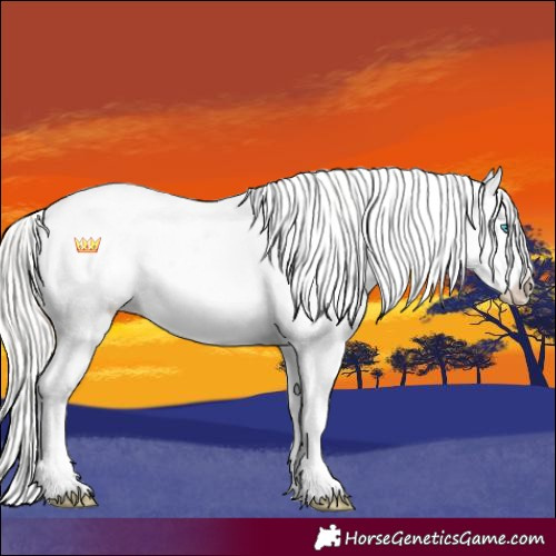 Horse Color:Silver Perlino Dun Sabino Blanket