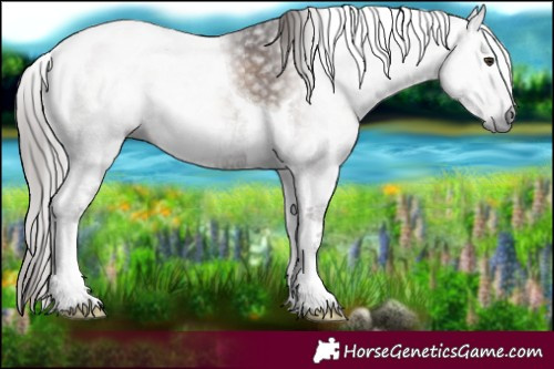 Horse Color:Gray Red Onyx Ice Tobiano 