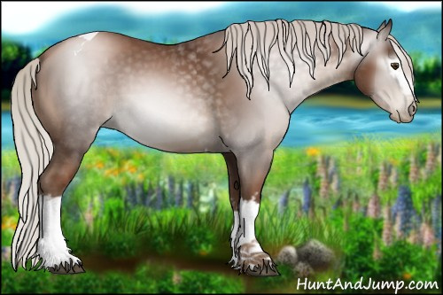 Horse Color:Gray White Spotted Silver Black Pearl Tobiano 