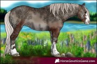 Horse Color:Silver Blue Onyx Ice