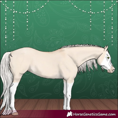 Horse Color:Silver Classic Champagne Dun Splash Frame 