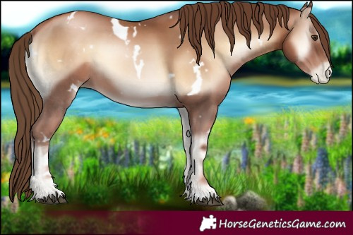 Horse Color:White Spotted Liver Red Onyx Pearl 