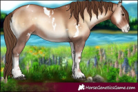 Horse Color:White Spotted Liver Red Onyx Pearl 