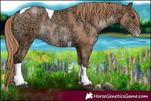 Horse Color:Black Ice Pearl Tobiano Rabicano 