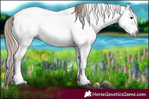 Horse Color:Gray Blue Onyx Pearl Tobiano Fewspot 