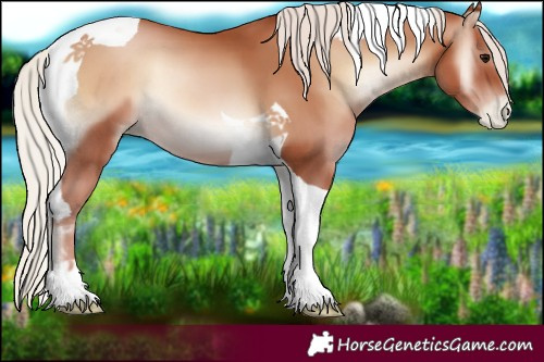 Horse Color:Silver Blue Onyx Pearl Tobiano 